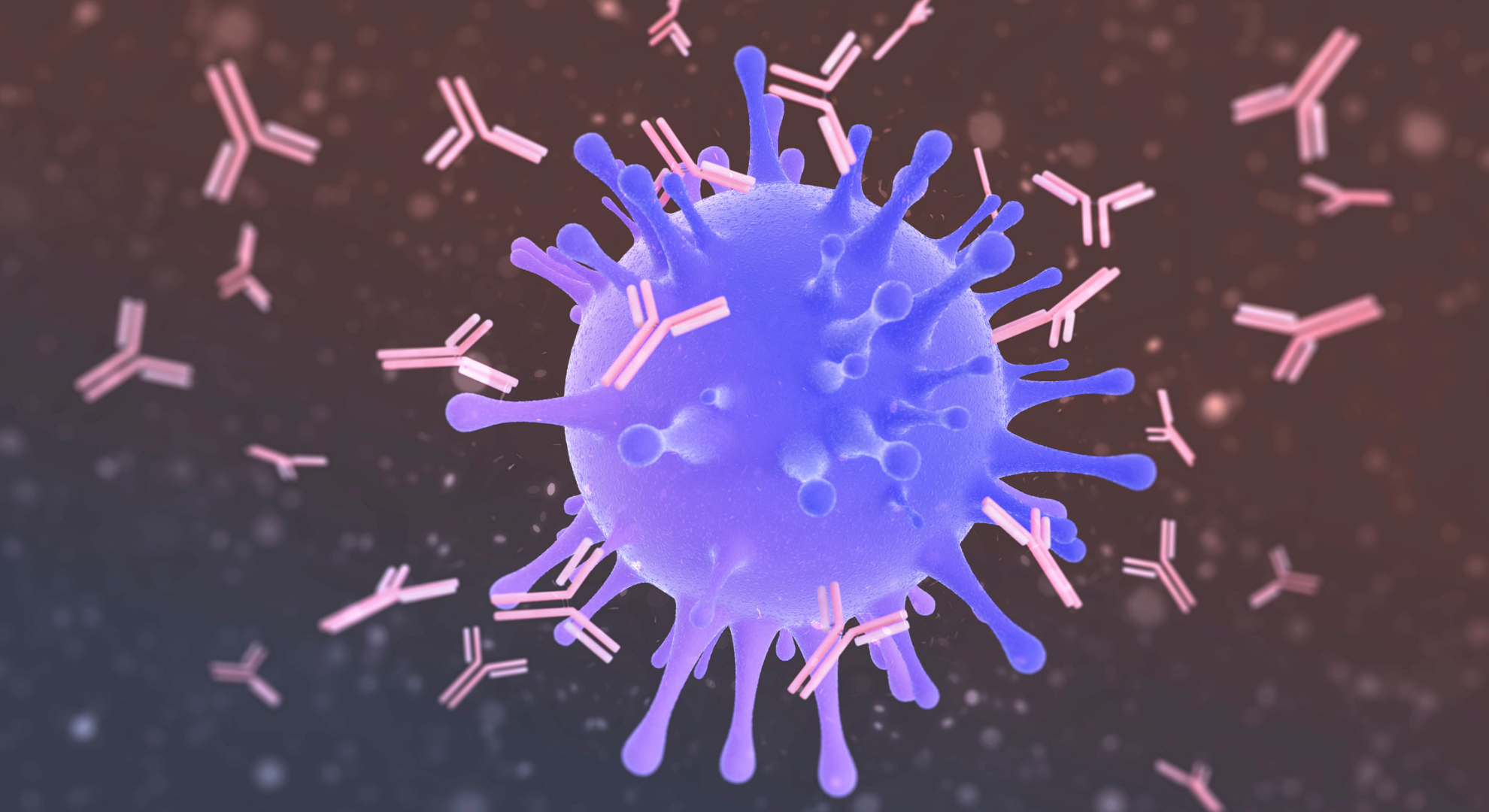 Inmunología básica o cómo nos defendemos de las infecciones