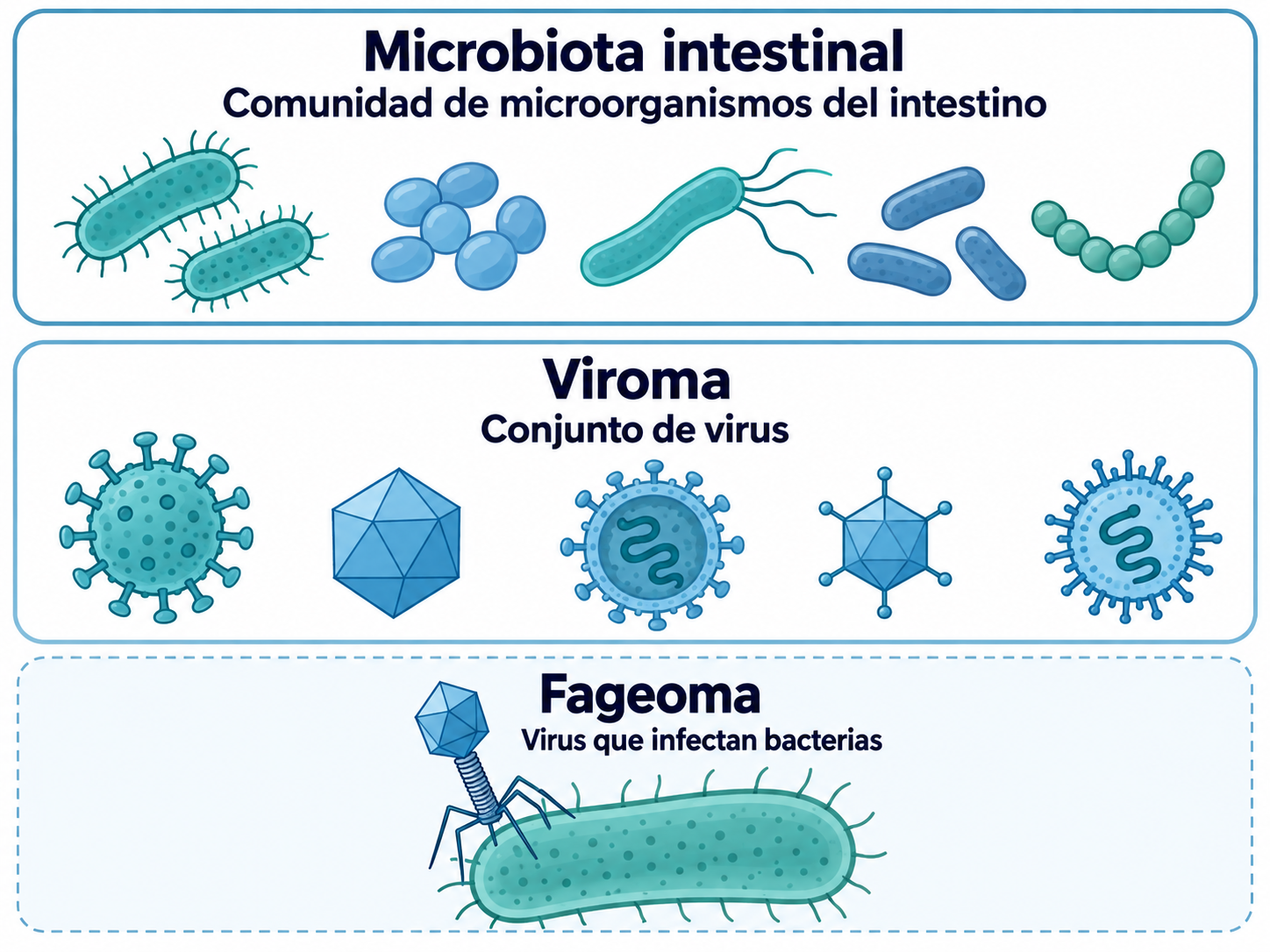 Esquema de microbiota intestinal, viroma y fageoma. Ilustración generada con IA.