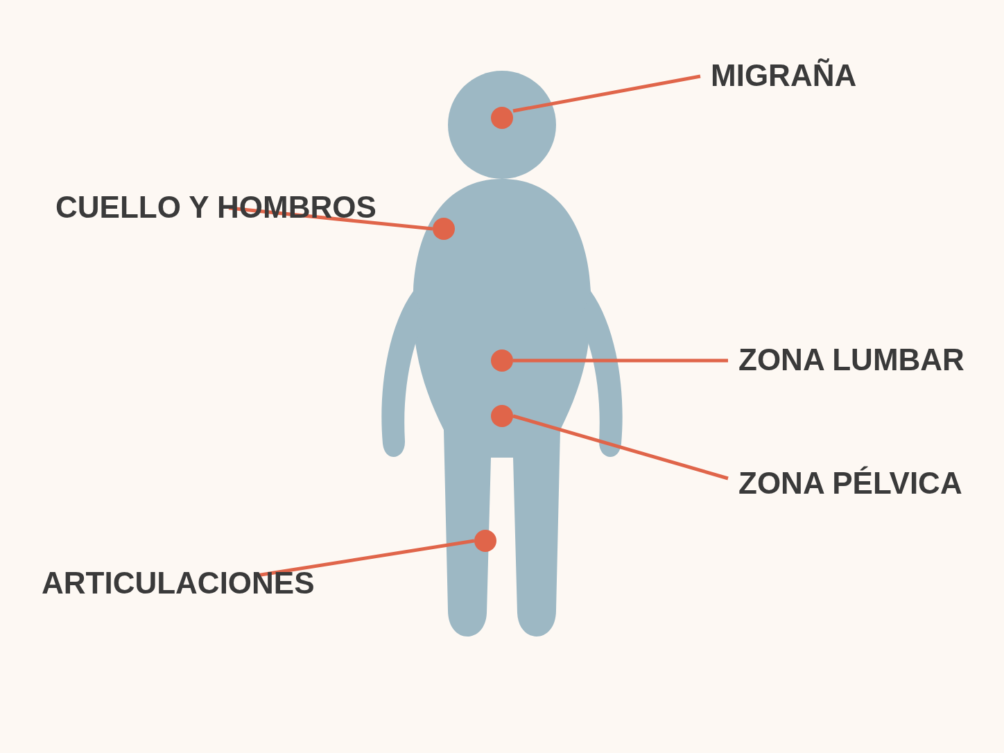 Zonas frecuentes de dolor crónico en la mediana edad: migraña, cuello y hombros, zona lumbar, articulaciones y zona pélvica